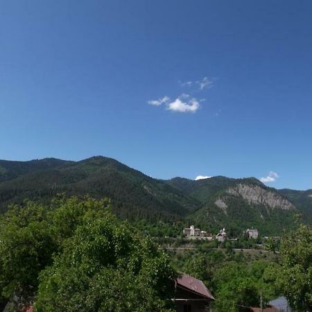 Akaki'S Guesthouse Borjomi Exterior foto